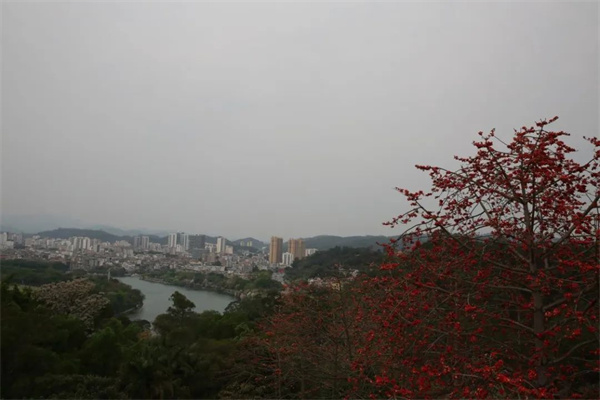 微信图片_20250424093938.jpg