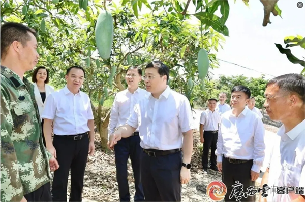 微信图片_20250709165334.png