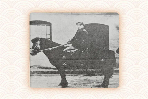 微信图片_20251216161455.jpg 微信图片_20251216161455.jpg