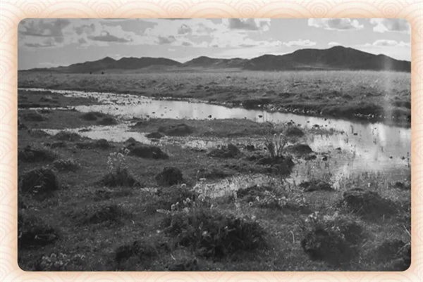 微信图片_20251216161452.jpg 微信图片_20251216161452.jpg