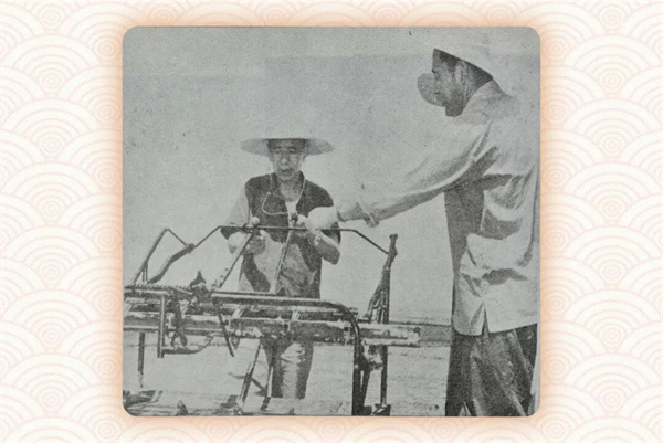 微信图片_20251216161539.jpg 微信图片_20251216161539.jpg