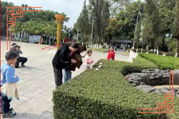 微信图片_20260227090804_1025_9.png 微信图片_20260227090804_1025_9.png